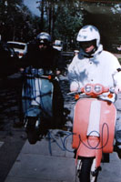 <b><font face="Arial, Times New Roman">Oasis</font></b>
