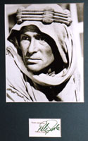 <b><font face="Arial, Times New Roman">Peter Otoole</font></b>